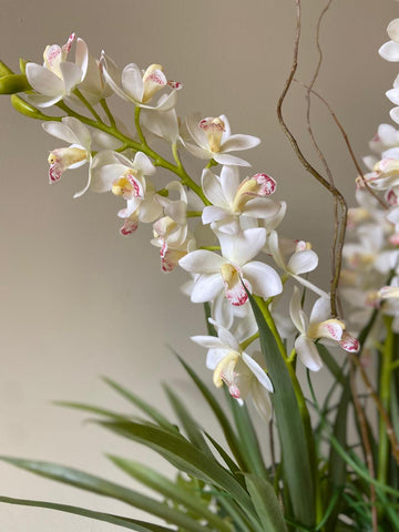 Orquideario con Cymbidium con Follajes Artificiales en Base de Vidrio