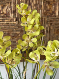 Orquideario con Vanda Orchid y Follajes Artificiales en Base Cantera