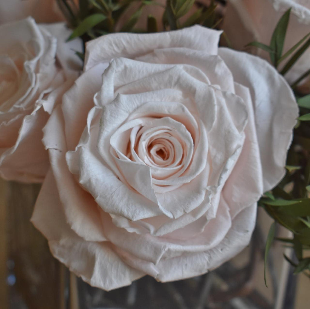 Arreglo Floral con Rosas Preservadas Rosa Claro en Base Cuadrada de Vidrio con Agua Acrílica