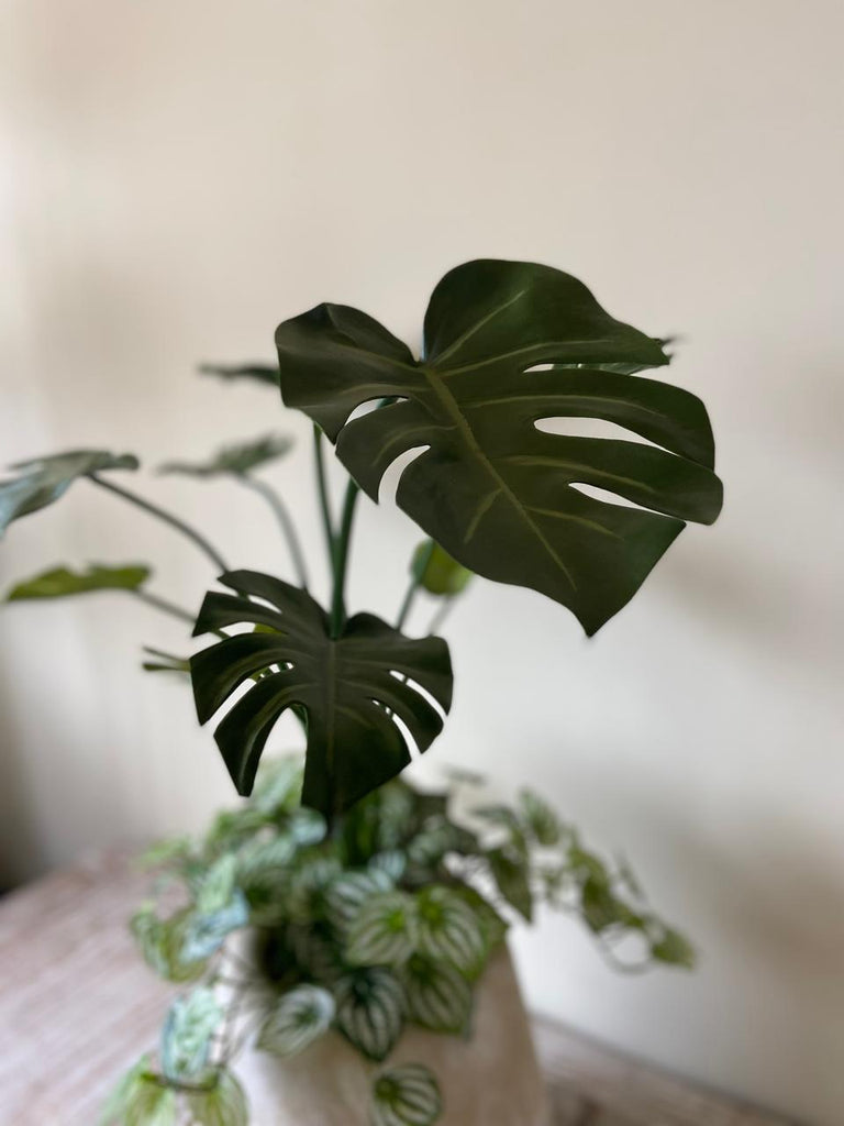 Planta Monstera con Peperomias Artificiales en Base de Cerámica Mediterránea