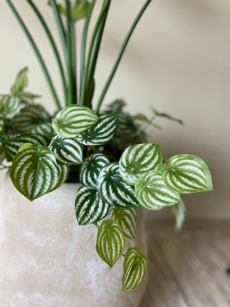 Planta Monstera con Peperomias Artificiales en Base de Cerámica Mediterránea