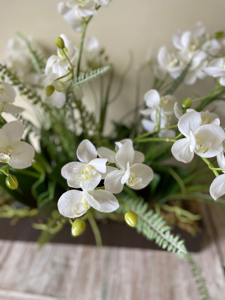 Orquideario con Mini Phalaenopsis y Follajes Artificiales en Base Rectangular