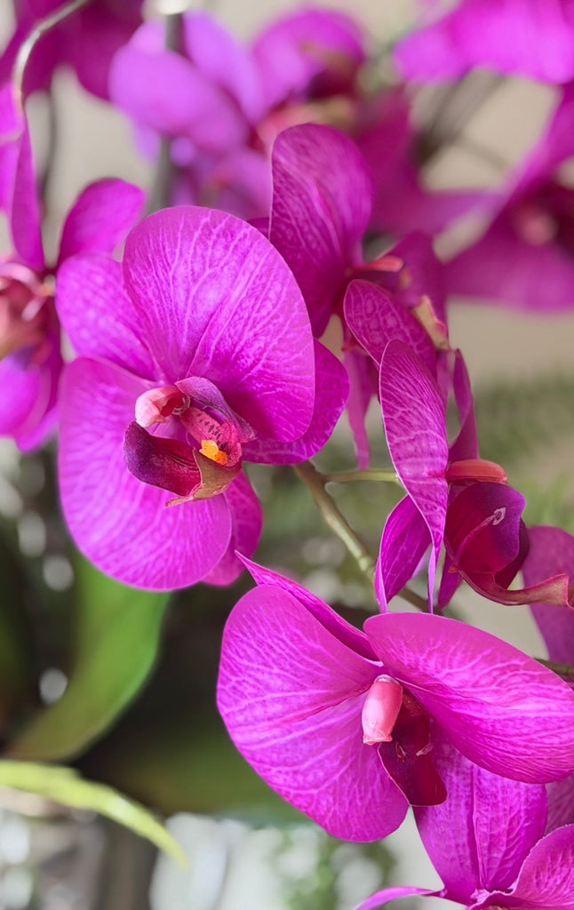 Orquideario con Phalaenopsis Morada y Follajes Artificiales en Base de Vidrio