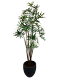 Planta Aralia Elegantísima ArtificIal de en Base Fibra de Vidrio
