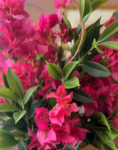 Arreglo Floral con Bougainvilleas y Follajes Artificiales en Florero de Vidrio