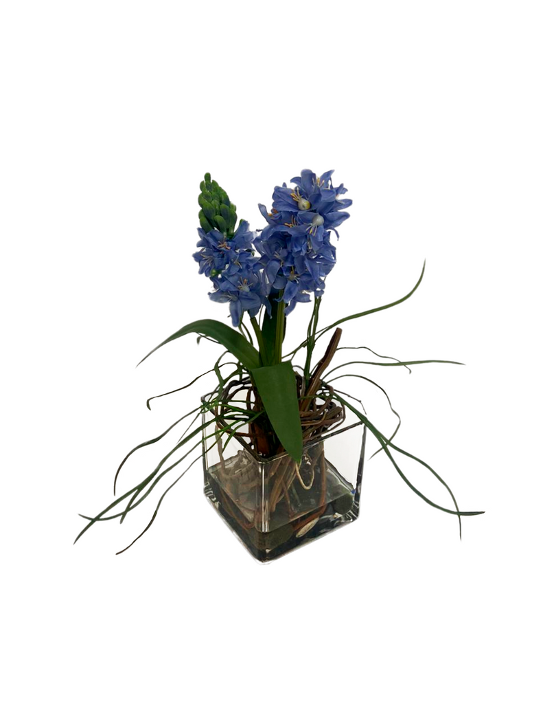 Arreglo Floral con Jacinto Azul en Base Cuadrada de Vidrio con Agua Acrílica
