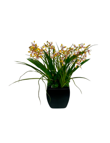Orquideario con Mini Catleya Artificial en Base de Cerámica
