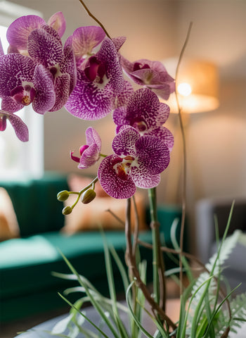 Orquideario con Phalaenopsis Fucsia y Follajes Artificiales en Base Cuadrada de Vidrio - Martha Sophia