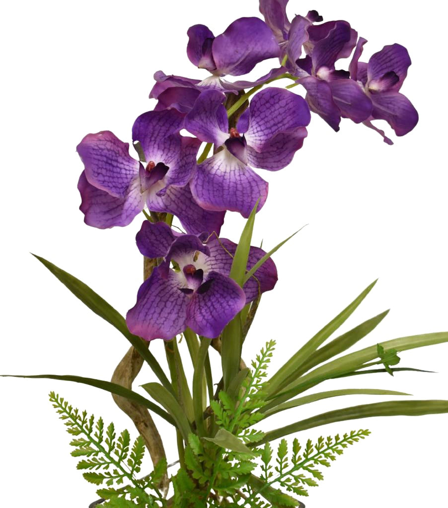 Orquideario Vanda Orchid Artificial en Base Cuadrada de Vidrio con Agua Acrílica