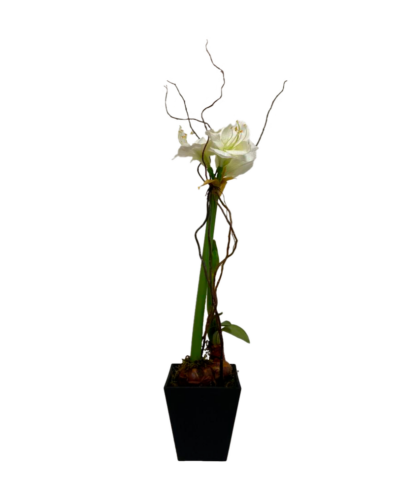 Arreglo Floral de Amaryllis Artificial en Base de Madera