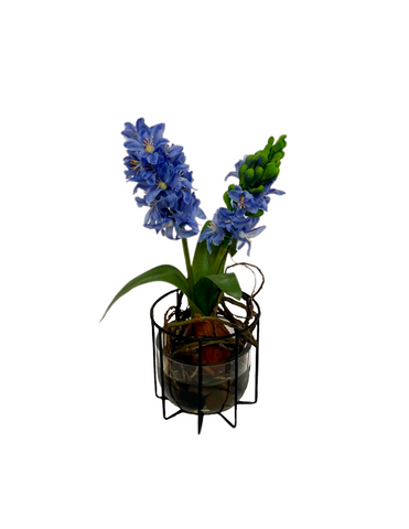 Arreglo Floral de Jacinto Azul Artificial en Base de Herrería