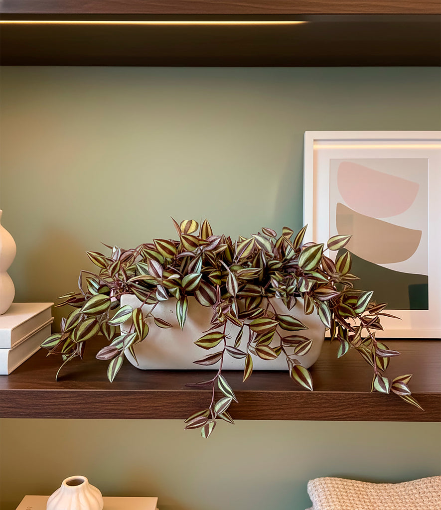 Jardinera 3/4 con Windering Artificial en Base Rectangular - Martha Sophia