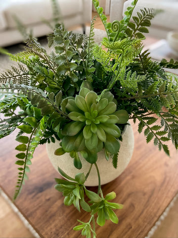 Suculentas con Helechos Artificiales en Base Cantera