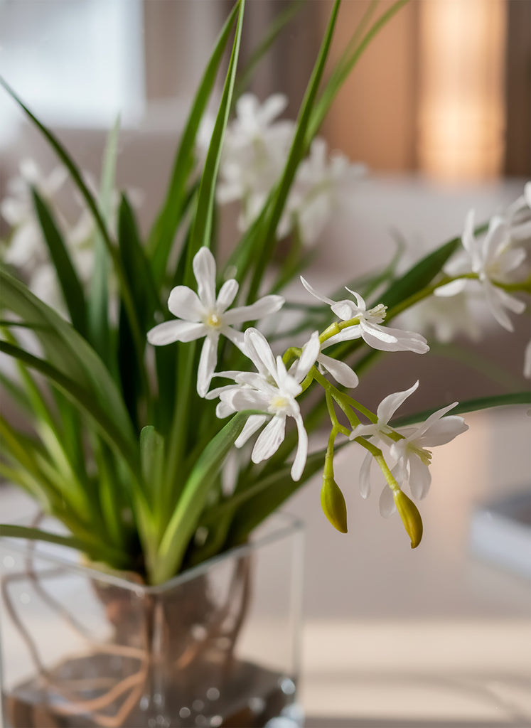Orquideario con Mini Catleya Blanca y Follajes Artificiales en Base de Vidrio Cuadrada - Martha Sophia