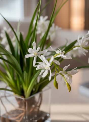 Orquideario con Mini Catleya Blanca y Follajes Artificiales en Base de Vidrio Cuadrada - Martha Sophia