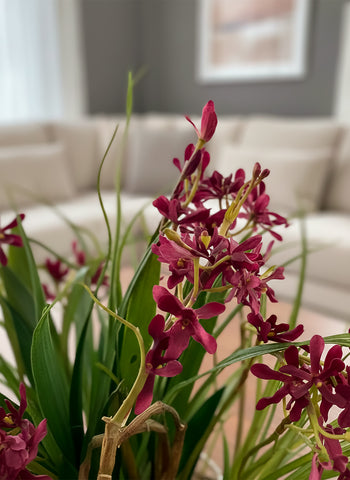Orquideario con Mini Catleya Vino y Follajes Artificiales en Base de Vidrio - Martha Sophia