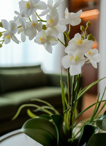 Orquideario con Mini Phalaenopsis y Follajes Artificiales en Base Cuadrada de Vidrio - Martha Sophia