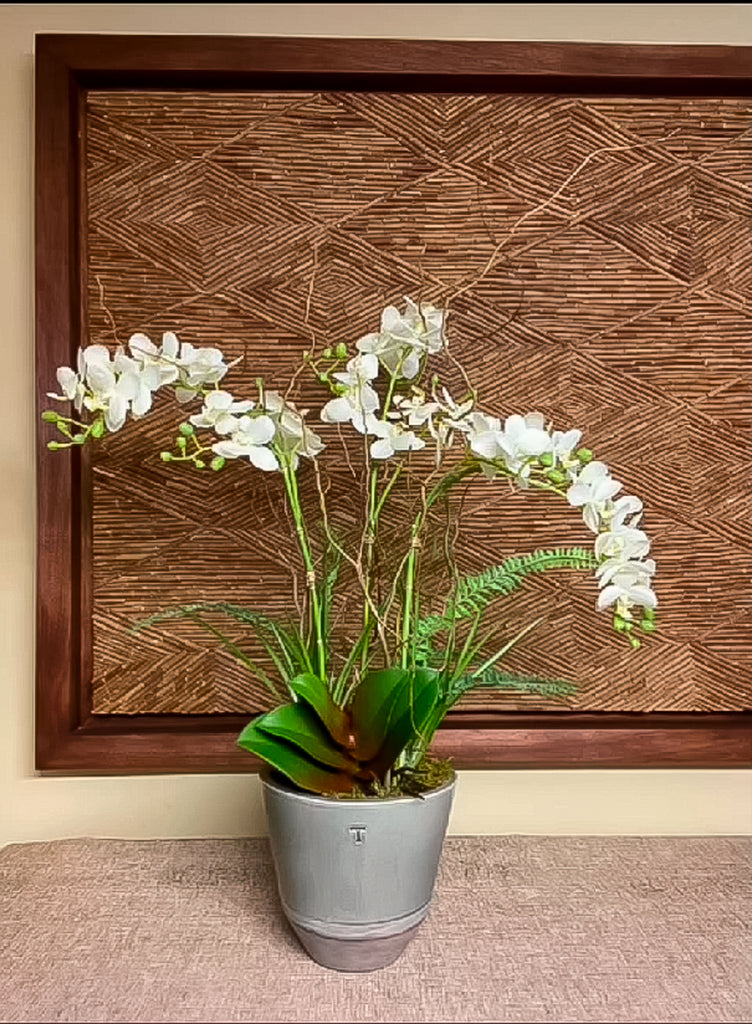 Orquideario con Mini Phalaenopsis en Base Trinitate