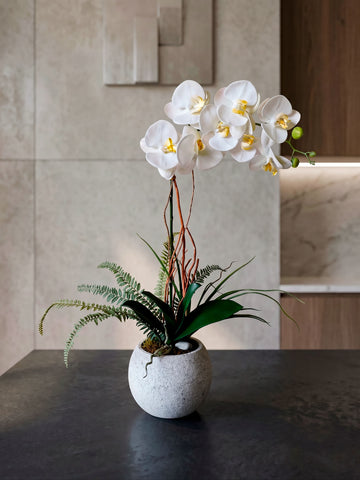 Orquideario con Phalaenopsis Blanca y Follajes Artificiales en Base de Concreto (Única Pieza)