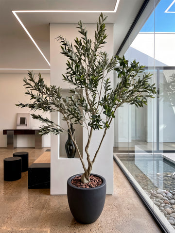 Árbol de Olivo de 2.70 mts Artificial en Base de Fibra de Vidrio