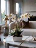 Orquideario con Dos Phalaenopsis y Follajes Artificiales en Base Rectangular