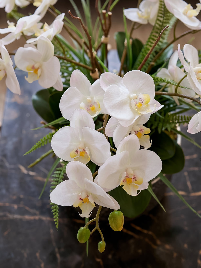 Orquideario con Phalaenopsis y Follajes Artificiales en Base Tipo Espejo