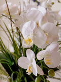 Orquideario con Variedad de Phalaenopsis y Follajes Artificiales en Base Tipo Espejo