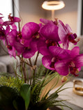 Orquideario con  Una Phalaenopsis Morada y Follajes Artificiales en Base de Vidrio