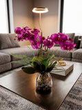 Orquideario con Phalaenopsis Morada y Follajes Artificiales en Base de Vidrio
