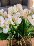 Orquideario con Phalaenopsis y Follajes Artificiales en Base Ovalada de Vidrio