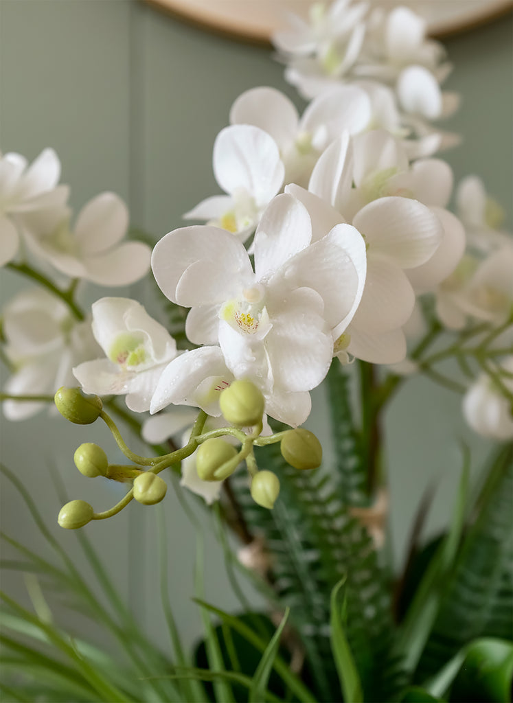 Orquideario con Mini Phalaenopsis y Follajes Artificiales en Base Cantera - Martha Sophia