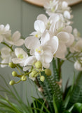 Orquideario con Mini Phalaenopsis y Follajes Artificiales en Base Cantera - Martha Sophia