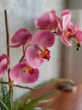 Orquideario con Dos Phalaenopsis Rosa y Follajes Artificiales en Base Cantera