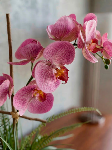 Orquideario con Dos Phalaenopsis Rosa y Follajes Artificiales en Base Cantera