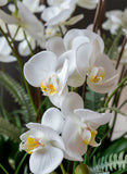 Orquideario con Phalaenopsis y Follajes Artificiales en Base Cantera - Martha Sophia