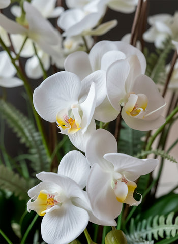 Orquideario con Phalaenopsis y Follajes Artificiales en Base Cantera - Martha Sophia