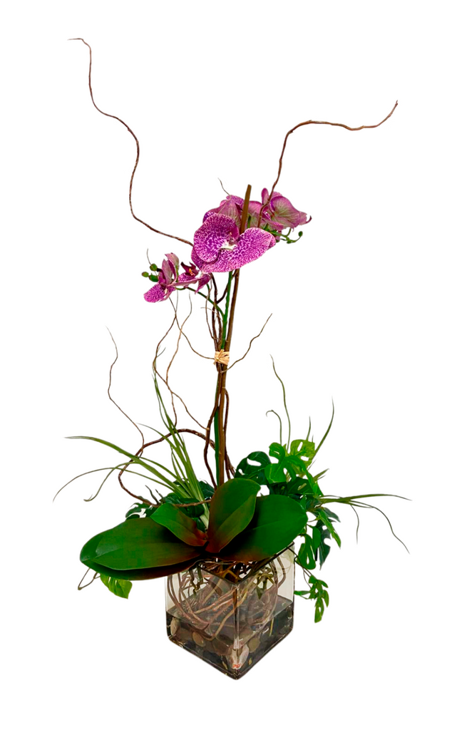 Orquideario con Phalaenopsis Fucsia Artificial en Base Cuadrada de Vidrio con Agua Acrílica