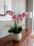 Orquideario con Dos Phalaenopsis Rosa y Follajes Artificiales en Base Cantera