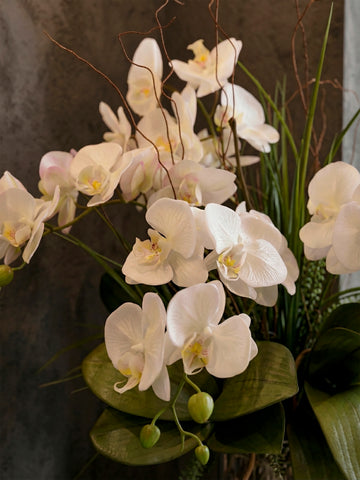 Orquideario 3/4 con Phalaenopsis Blancas y Follajes Artificiales en Florero de Vidrio con Agua Acrílica