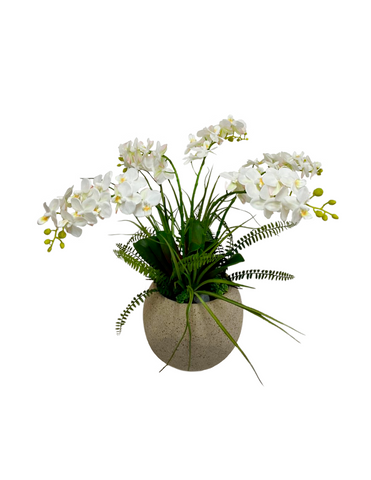 Orquideario con Cinco Mini Phalaenopsis Blancas Artificiales en Base Tipo Cantera