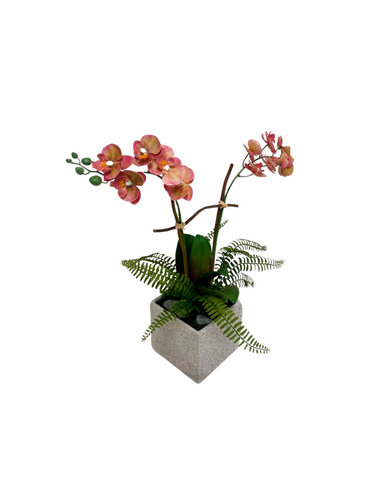 Orquideario con Mini Phalaenopsis Rosa Artificial en Base Cuadrada Tipo Cantera