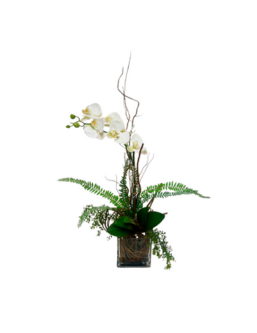 Orquideario con Phalaenopsis Blanca Artificial en Base de Vidrio