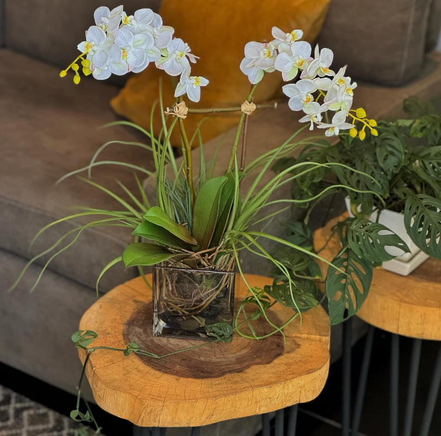 Orquideario con Mini Phalaenopsis Artificial en Base Cuadrada de Vidrio con Agua Acrílica