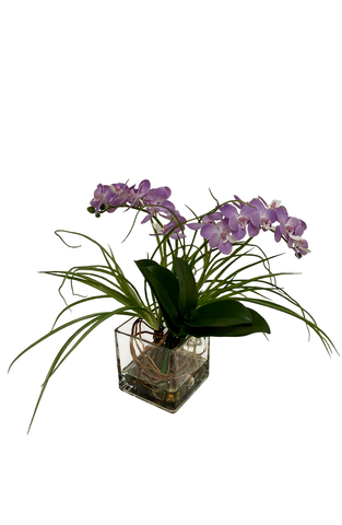 Orquideario con Mini Phalaenopsis Artificial en Base de Vidrio con Agua Acrílica