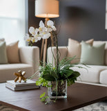Orquideario con Phalaenopsis y Follajes Artificiales en Base Cuadrada de Vidrio - Martha Sophia