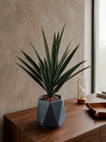 Planta Yucca Artificial en Base de Cerámica