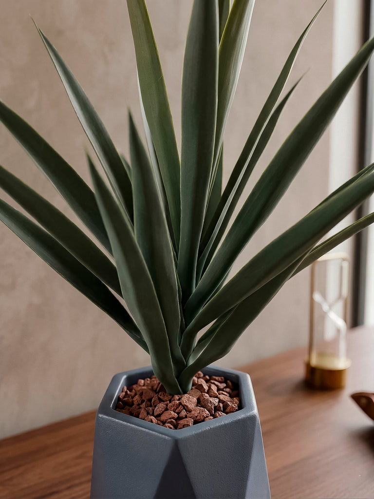 Planta Yucca Artificial en Base de Cerámica