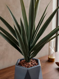 Planta Yucca Artificial en Base de Cerámica