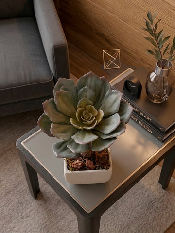 Echeverria Artificial en Base Cuadrada Chica