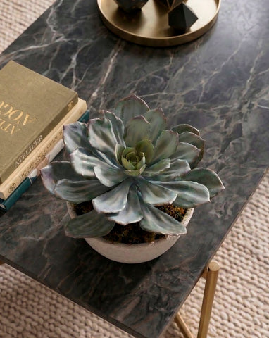 Centro de Mesa con Echeverria Artificial en Base Cantera